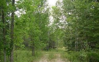 I have sold a property at HURRON LINE, LOT 39 in ST. JOSEPH ISLAND
